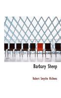 Barbary Sheep