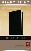 Giant Print Bible-NLT