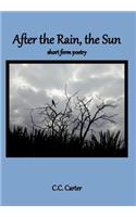 After the Rain, the Sun: short form poetry