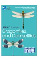 RSPB ID Spotlight - Dragonflies and Damselflies