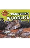 Wandering Woodlice