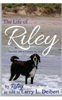 The Life Of Riley