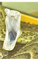 Puff Adder Journal