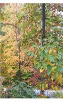 Journal Autumn Colors Fall Foliage