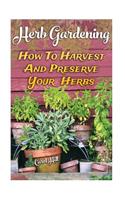 Herb Gardening: How To Harvest And Preserve Your Herbs
