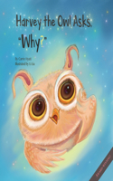 Harvey the Owl Asks, 