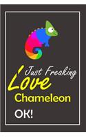 I Just Freaking Love Chameleon, OK !