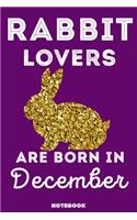 Rabbit Lovers Are Born In December