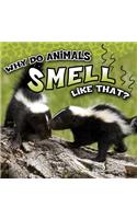 Why Do Animals Smell Like That?