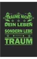 Träume nicht dein Leben sondern lebe deinen Traum