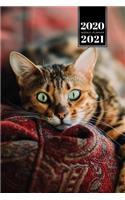 Bengal Cat Kitten Kitty Tomcat Week Planner Organizer 2020 / 2021 - Relax: Cute Animal Pet Owner Weekly Bullet Journal Notebook Diary in 6" x 9" Inch Pocket Size