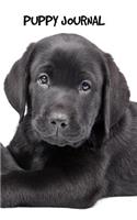 Puppy Journal: 6 x 9 inch dog notebook, Labrador Retriever, Black Labrador, blank diary, puppy notebook, 200 pages