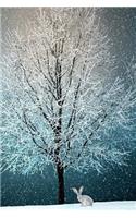 Winter Journal