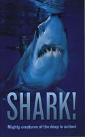 Shark!: Mighty creatures of the deep in action!