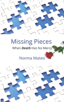 Missing Pieces: When Death Has No Mercy