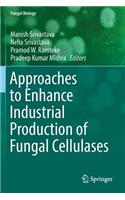Approaches to Enhance Industrial Production of Fungal Cellulases
