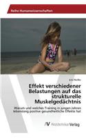 Effekt verschiedener Belastungen auf das strukturelle Muskelgedächtnis