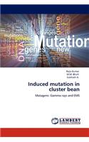 Induced mutation in cluster bean