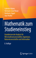 Mathematik Zum Studieneinstieg