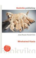 Wirehaired Vizsla