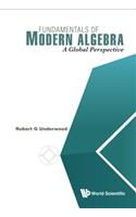 Fundamentals of Modern Algebra: A Global Perspective