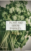Plant and Grow Parsley