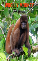 Woolly Monkey: Beautiful Pictures & Interesting Facts Children Book About Woolly Monkey