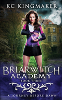 Briarwitch Academy 3