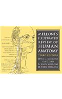 Melloni's Illustrated Review of Human Anatomy