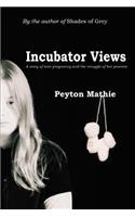 Incubator Views: A Story of Teen Pregnancy and the Struggle of her Preemie