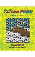 Pattern Power - Adult Coloring Book, Vol.1