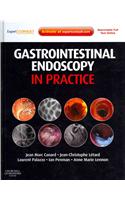 Gastrointestinal Endoscopy in Practice