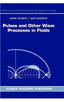 Pulses and Other Wave Processes in Fluids