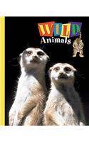 Wild Animals