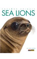 Amazing Animals: Sea Lions