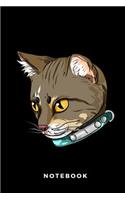 Notebook: Brazilian Shorthair Cat