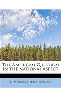 The American Question in the National Aspect