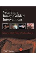 Veterinary Image-Guided Interventions