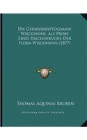 Die Gefaesskryptogamen Wisconsins, Als Probe Eines Taschenbuchs Der Flora Wisconsins (1877)