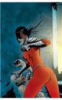 Manhunter TP Vol 01 Street Justice