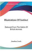 Illustrations Of Instinct