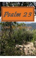 Psalm 23