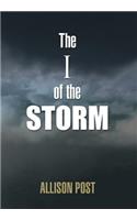 The I of the Storm