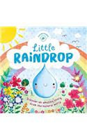 Little Raindrop