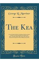 The Kea
