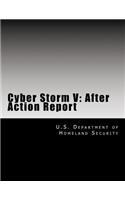 Cyber Storm V