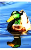 Duck Notebook