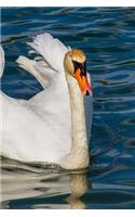 Swan Notebook