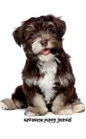 Havanese Puppy Journal: 8.5 x 11 inch dog notebook, havanese gifts, college ruled, composition book, dog lined journal, 150 pages