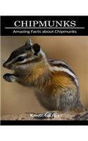 Amazing Facts about Chipmunks